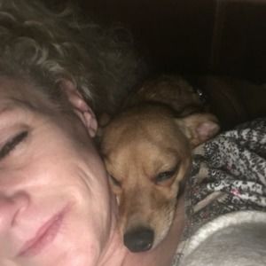 Meet your Posher, Shae